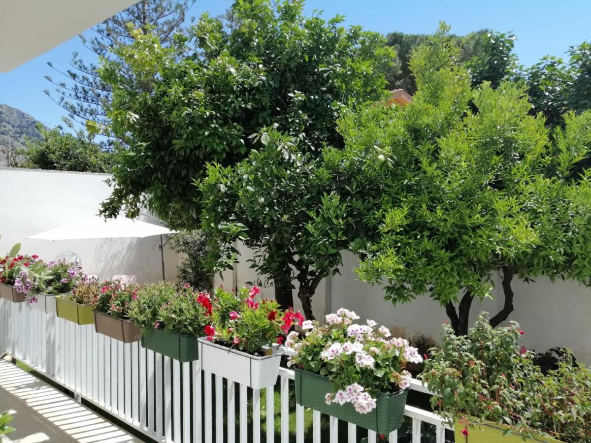 Вилла Mondello Beach The House With Green Lawns Экстерьер фото